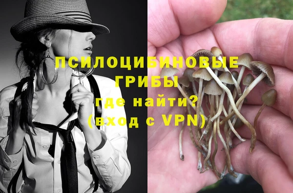 бошки Балахна