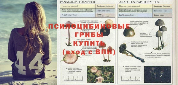 прущий лед Белоозёрский